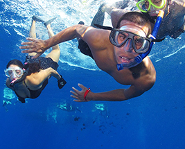 snorkel card