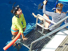 Steps and platforms lead to easy ocean entry and exit