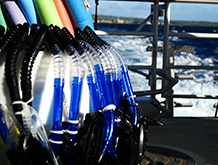 Snorkel Gear