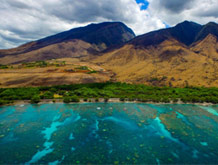Maui Best Snorkel Location Coral Gardens