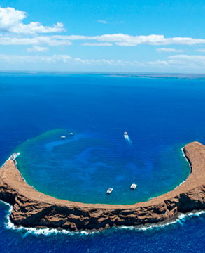 Maui Experience