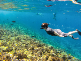 Snorkel Best Morning Molokini Tour