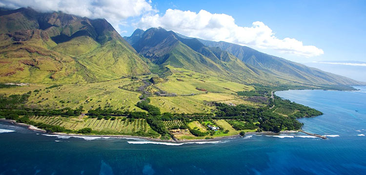 Olowalu Snorkel Destination