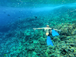 Top Maui Molokini Snorkel Tour