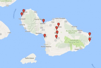 Top Locally Grown Food Markets Maui Hawaii