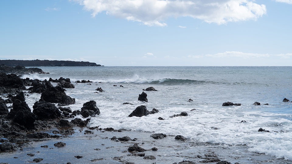 Best Maui Beach La Perouse Bay