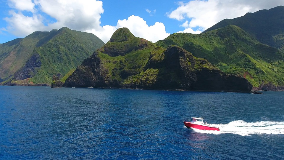 Best Maui Sport Fishing